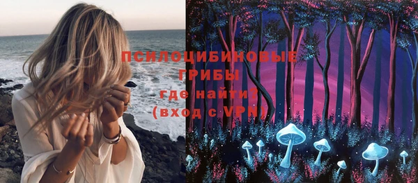 спайс Алзамай