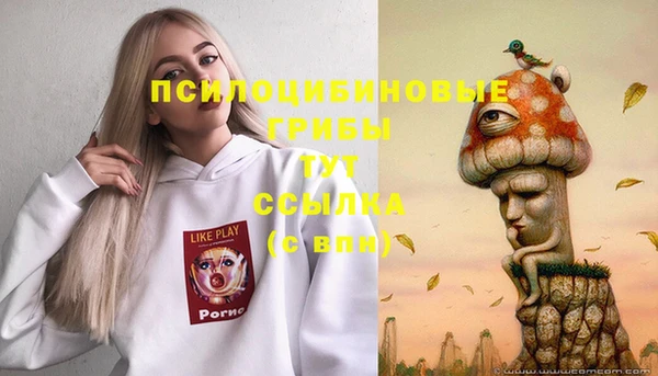 ALPHA-PVP Алексин