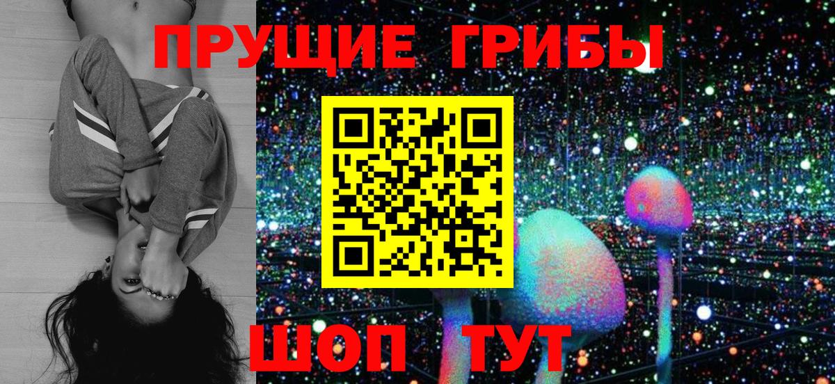 Заводоуковск  Галлюциногенные грибы Psilocybe  Вход с VPN  Галлюциногенные грибы Magic Shrooms 